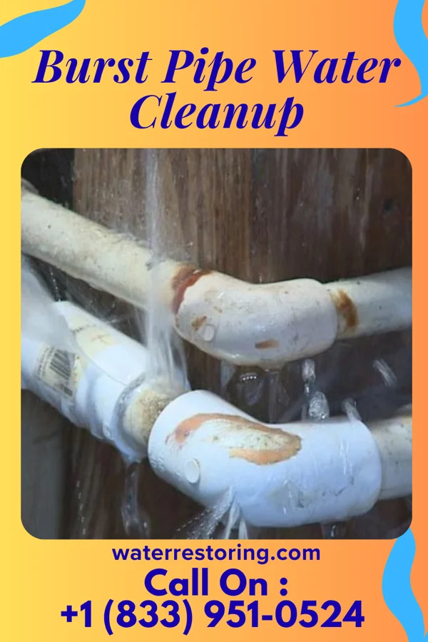 Burst Pipe Water Cleanup in Mellette, SD