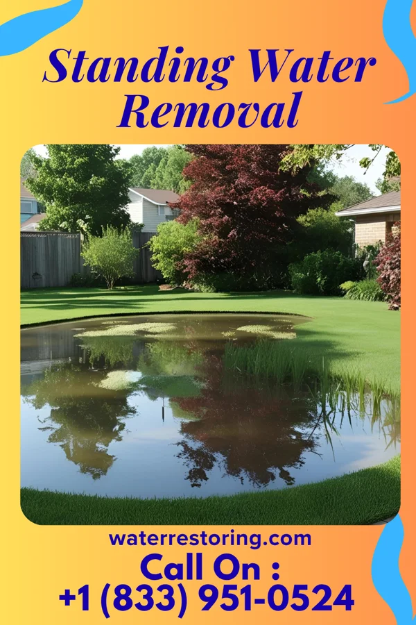 Standing Water Removal in Mellette, SD